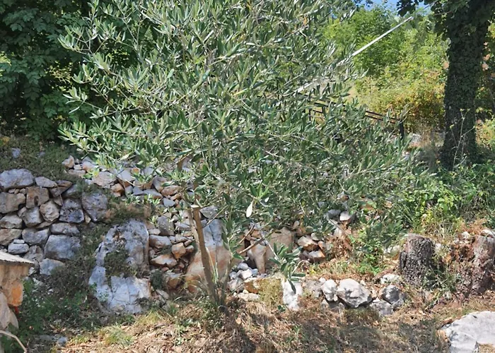 Pocitniska Hisa Morski Pogled Feriehus