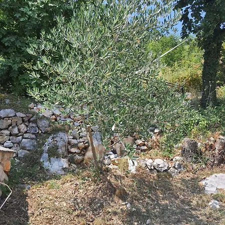 Pocitniska Hisa Morski Pogled Holiday home